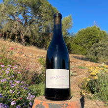 Load image into Gallery viewer, 2022 Pickberry Cabernet Franc